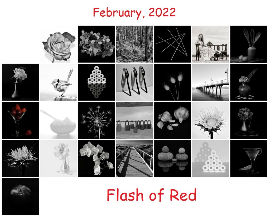Flash of Red 2022 by merrelyn