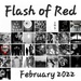 Flash of Red February 2022 by serendypyty