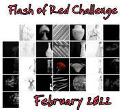 28th Feb 2022 - Flash of Red Challenge 2022 Calendar