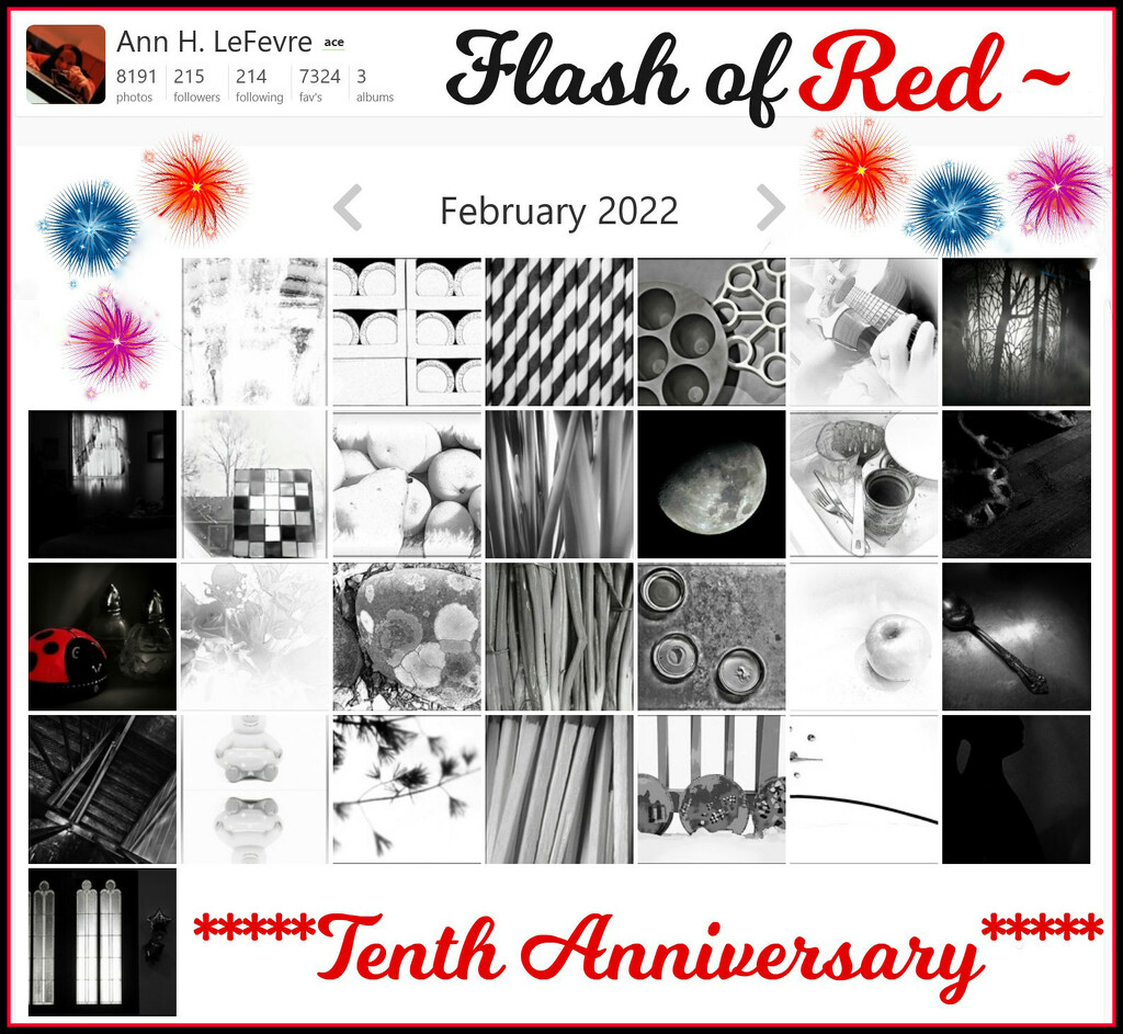 Flash of Red 10th Anniversary Calendar by olivetreeann