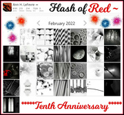28th Feb 2022 - Flash of Red 10th Anniversary Calendar