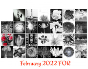 28th Feb 2022 - Flash of Red Calendar
