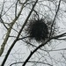 Winter..crows nest by 365projectorgjoworboys