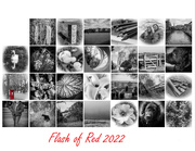 28th Feb 2022 - Flash of red 2022.....