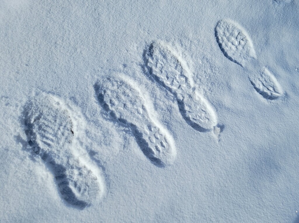 Footprints in the Snow by kimmer50