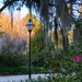 Old-fashioned lamp post at the park by congaree