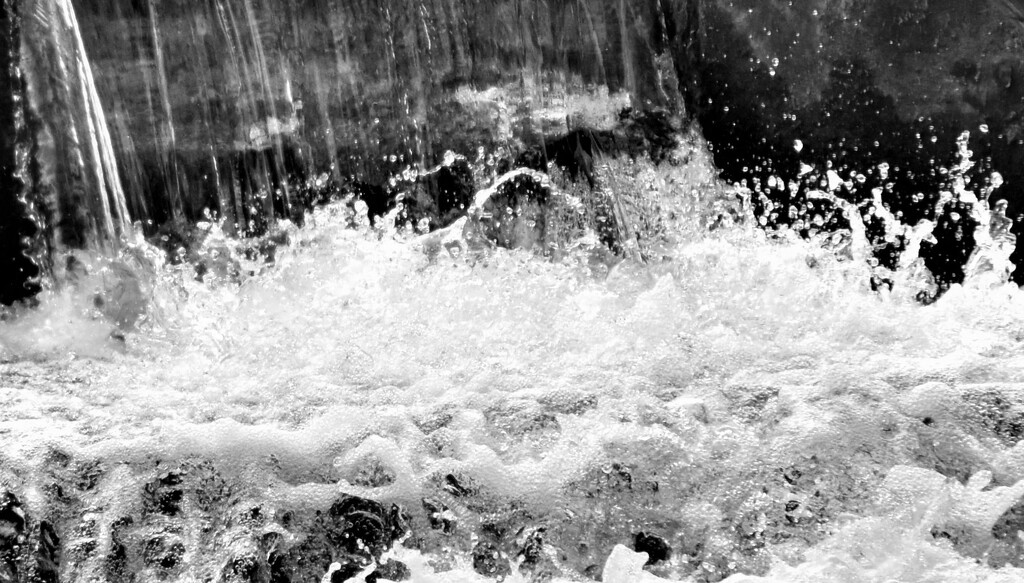 Splash! by anitaw