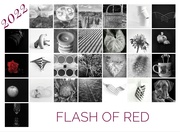 28th Feb 2022 - Flash of Red 2022 