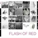 Flash of Red 2022  by salza