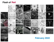 28th Feb 2022 - Flash of Red
