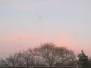 26th Feb 2022 - pinkwash at sunset
