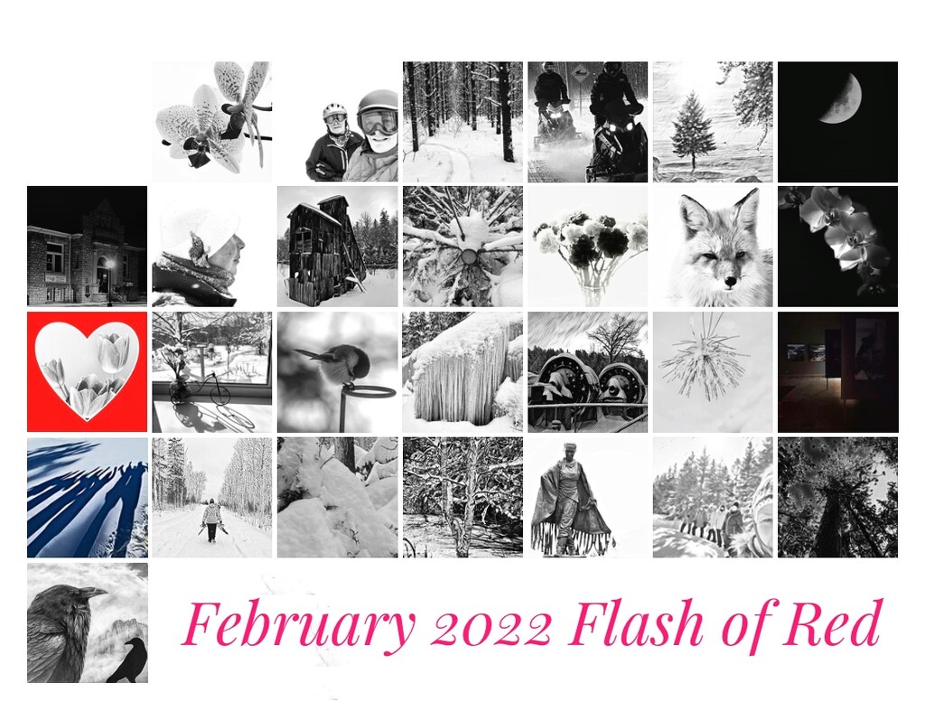 My Flash of Red calendar by radiogirl