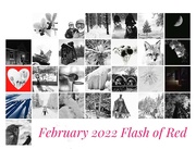 28th Feb 2022 - My Flash of Red calendar