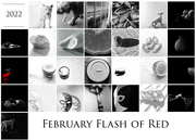 28th Feb 2022 - Flash of Red 2022