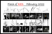 1st Mar 2022 - Flash of Red calendar 2022