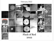 28th Feb 2022 - Flash of Red 2022
