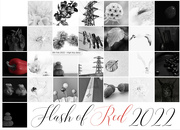 1st Mar 2022 - Flash of Red February