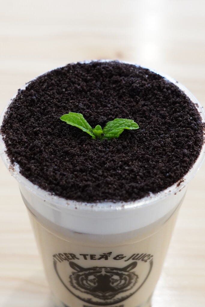Potted plant (Oreo boba topping) by acolyte