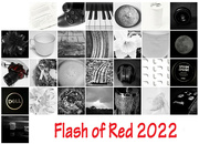 1st Mar 2022 - Flash of Red Calendar