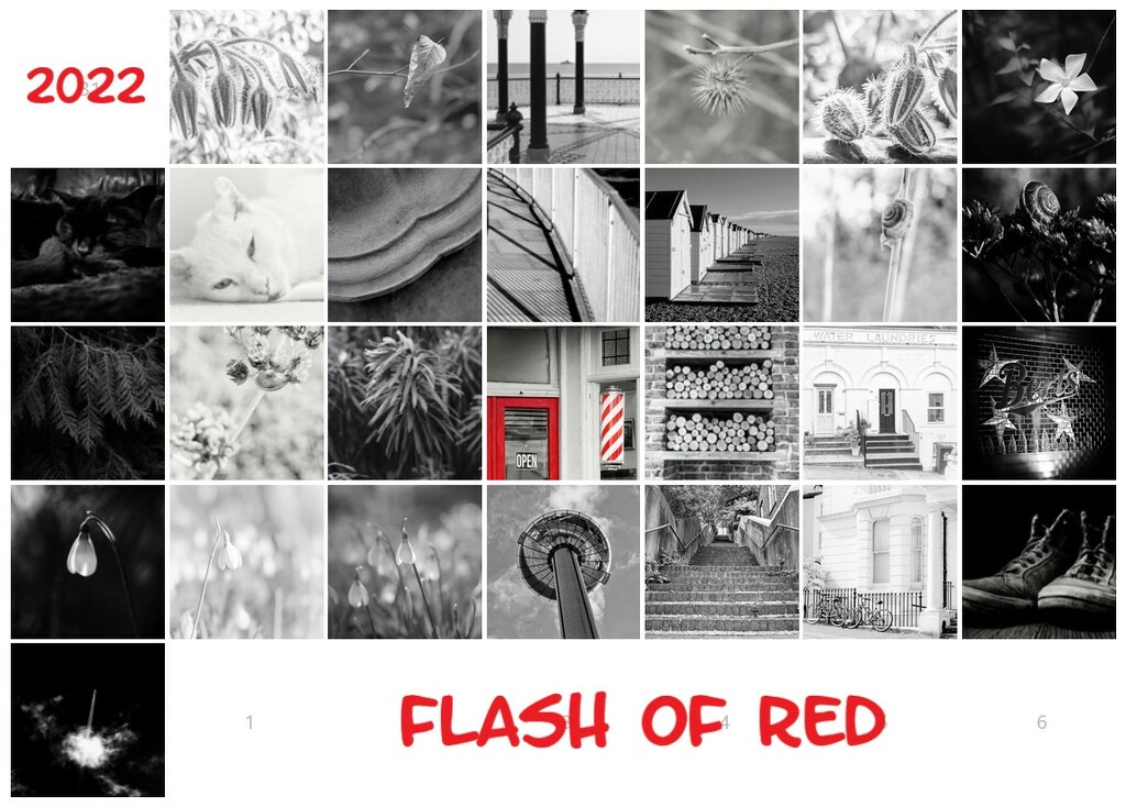 Flash of Red 2022 by 4rky