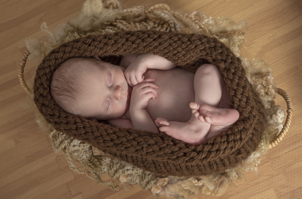 baby in basket  by myhrhelper