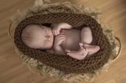 26th Feb 2022 - baby in basket 