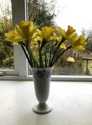 1st Mar 2022 - Daffodils