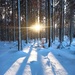 Winter paradise by gabis