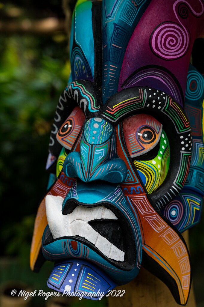 Tribal Mask by nigelrogers