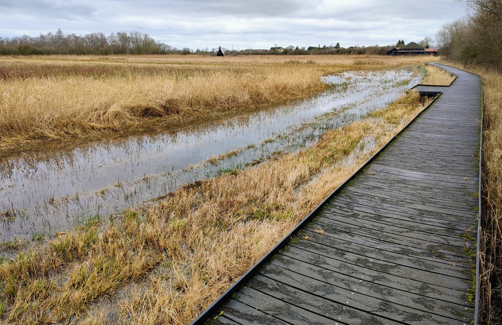 Wicken Fen by boxplayer