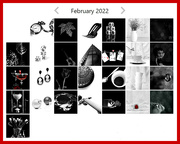 1st Mar 2022 - flash of red 2022