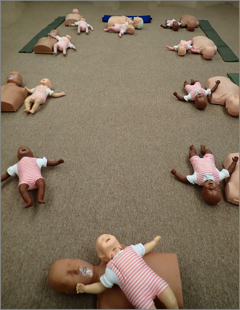 CPR Class by olivetreeann