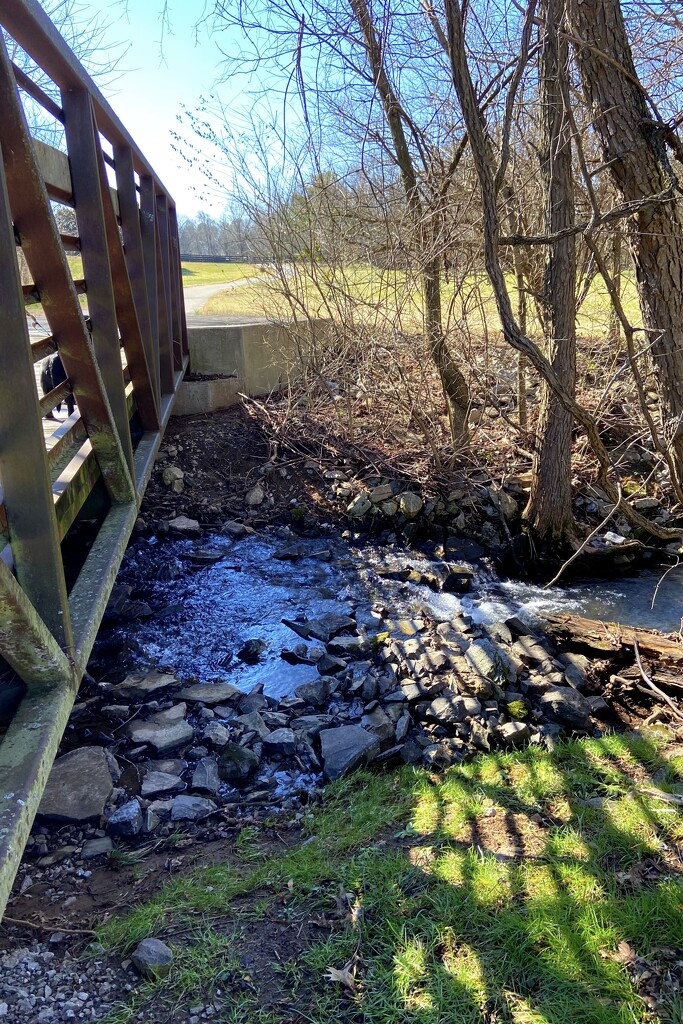 Carriage Hills Creek by 365canupp