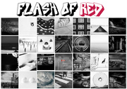 1st Mar 2022 - Flash of Red 2022