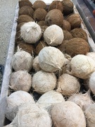 21st Feb 2022 - White and brown coconuts