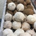 White and brown coconuts by kchuk