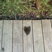 Wet heart.  by cocobella