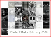 1st Mar 2022 - Flash of Red - Feb 2022