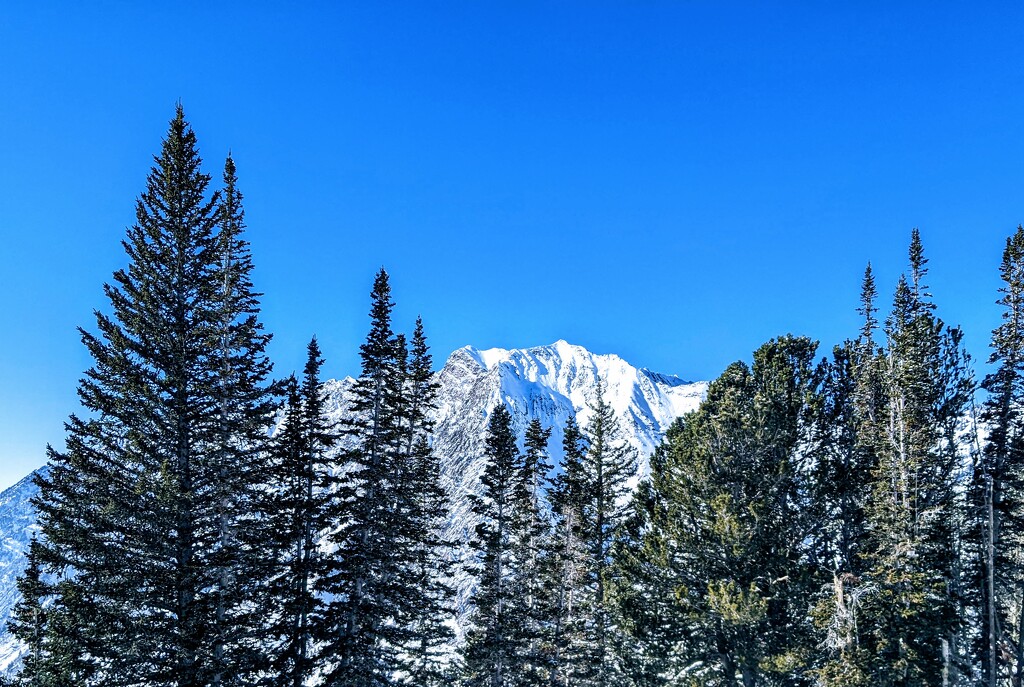 Mt. Superior peeking through the trees by tdaug80