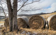 2nd Mar 2022 - Some bales of hay