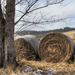 Some bales of hay by mittens
