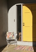 2nd Mar 2022 - Dog in the Window (yellow day)