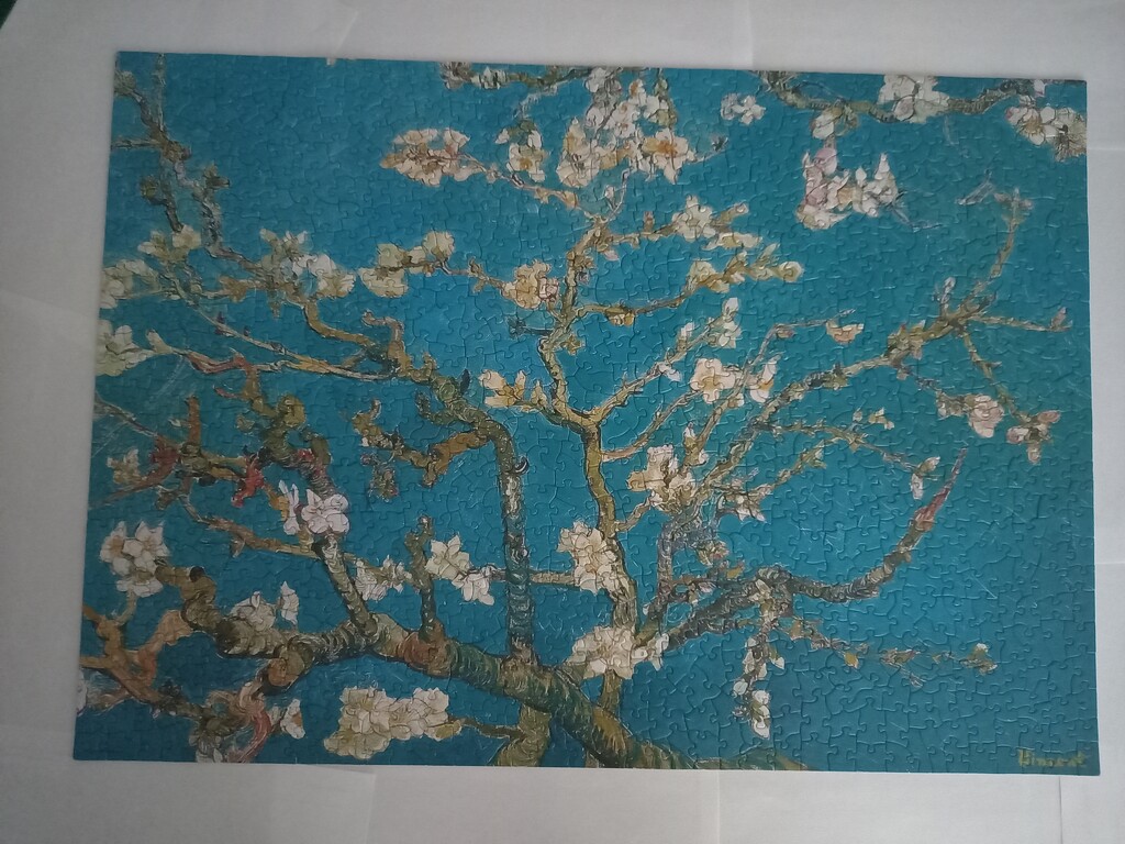 Van Gogh Almond Blossom by marianj