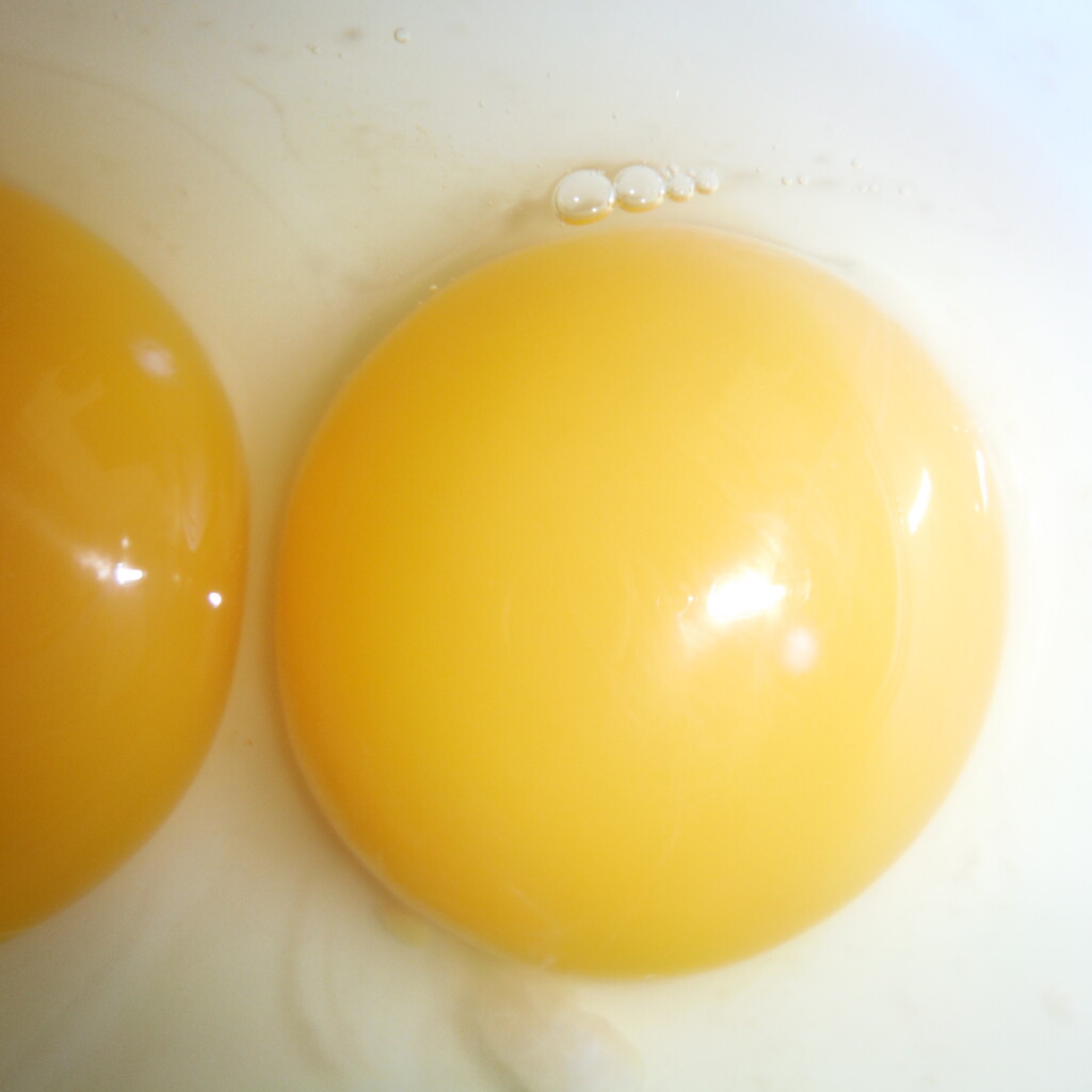 Yellow Egg Yolk by spanishliz