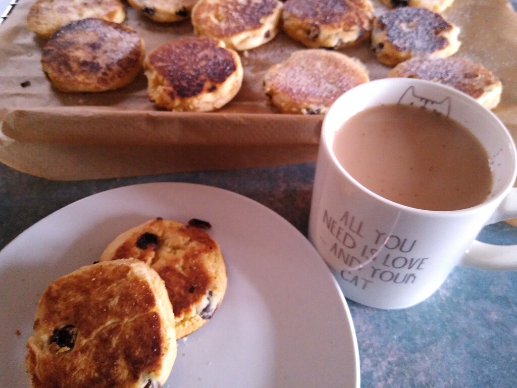Welsh Cakes by thedarkroom