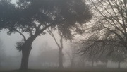 3rd Mar 2022 - Thick fog on an early morn...