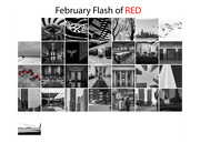 2nd Mar 2022 - Flash of Red February 2022