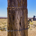 Cemetery Gate Post by k9photo