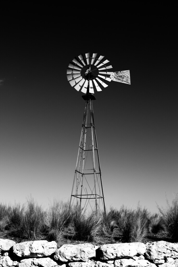Windmill by judyc57