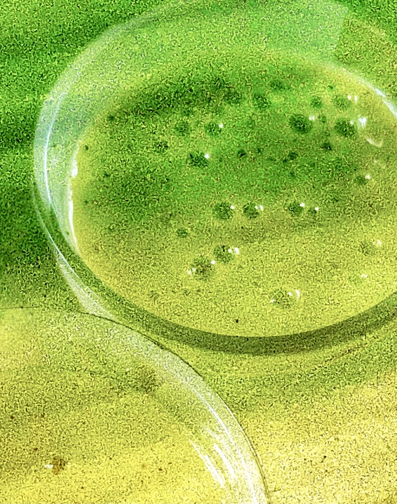 Green Bubbles  by rensala